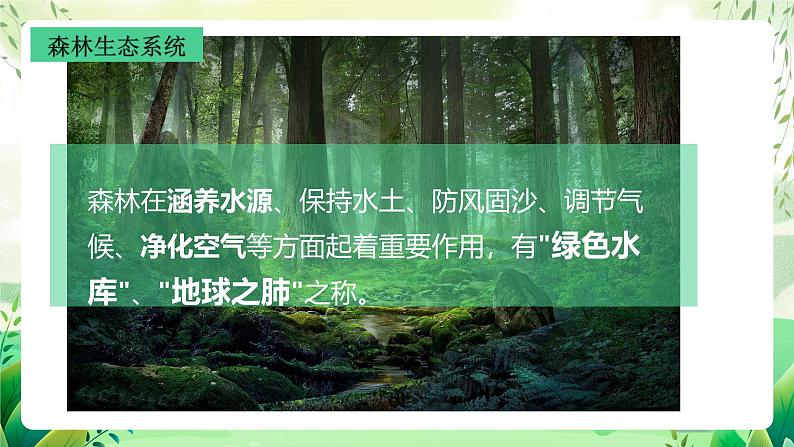 沪教版生物八下5.2.2《多种多样的生态系统》课件第6页