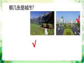 沪教版生物八下6.1《城市生态与城市环境保护》课件