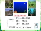 沪教版生物八下6.1《城市生态与城市环境保护》课件