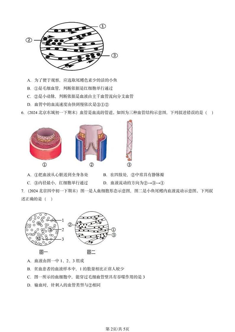 2024北京重点校初一（下）期末真题生物汇编：血流的管道──血管第2页