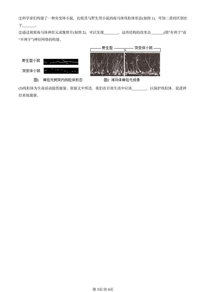 2024北京重点校初一（下）期末真题生物汇编：神经系统的组成（京改版）第3页