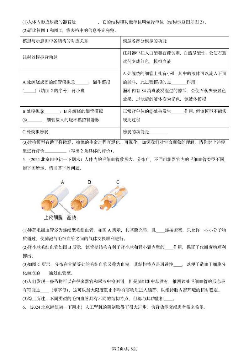 2024北京重点校初一（下）期末真题生物汇编：尿液的形成和排出（京改版）第2页