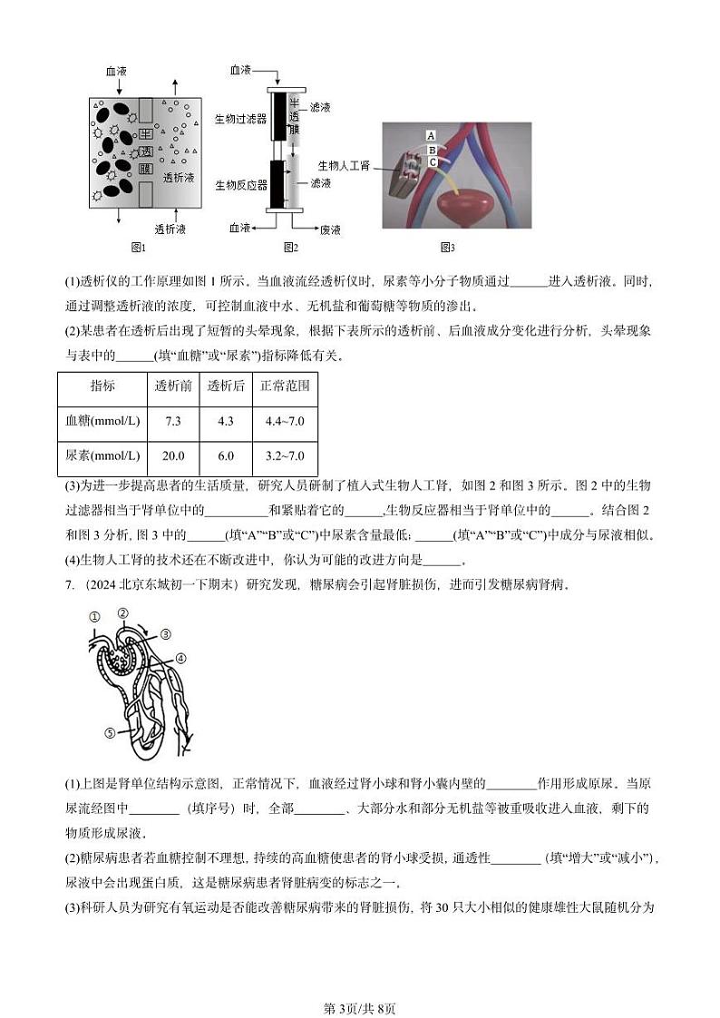 2024北京重点校初一（下）期末真题生物汇编：尿液的形成和排出（京改版）第3页