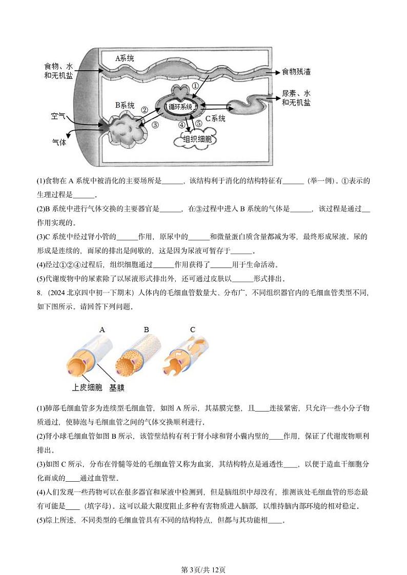 2024北京重点校初一（下）期末真题生物汇编：生物的排泄章节综合（京改版）第3页