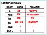 北师大版初中生物 七年级下册 6.1 人类的食物（PPT+教案）