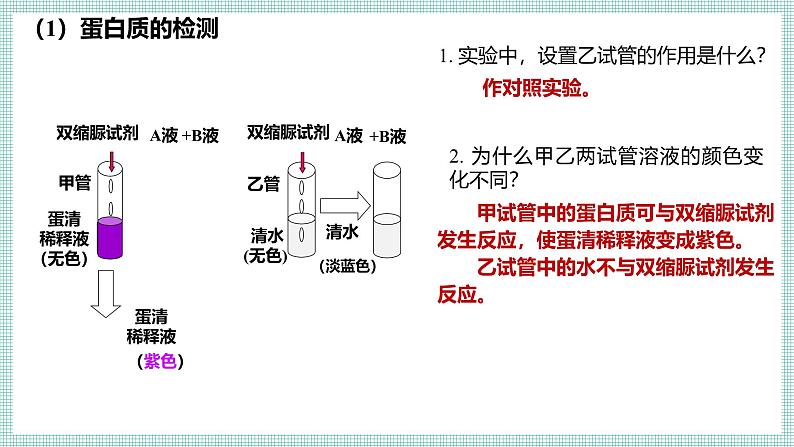 6.1 人类的食物 PPT  BSD第7页