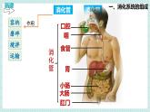 北师大版初中生物 七年级下册 6.2.1 食物的消化和营养物质的吸收（PPT+教案）