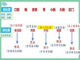 北师大版初中生物 七年级下册 6.2.2 食物的消化和营养物质的吸收（PPT+教案）
