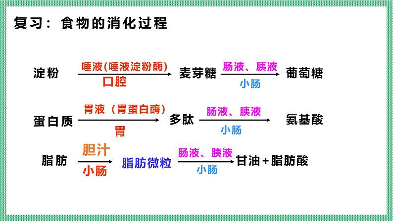 6.2.2 食物的消化和营养物质的吸收 PPT  BSD第4页