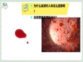 北师大版初中生物 七年级下册 7.1血液（PPT+教案）