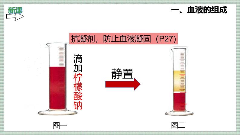 7.1血液 PPT  BSD第4页