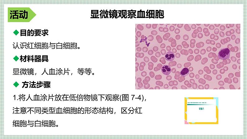 7.1血液 PPT  BSD第8页