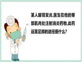 北师大版初中生物 七年级下册 7.2.2血液循环（PPT+教案）