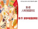 北师大版初中生物 七年级下册 8.1食物中能量的释放（PPT+教案）