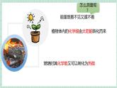 北师大版初中生物 七年级下册 8.1食物中能量的释放（PPT+教案）