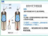 北师大版初中生物 七年级下册 8.1食物中能量的释放（PPT+教案）