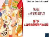 北师大版初中生物 七年级下册 8.2 人体细胞获得氧气的过程（PPT+教案）