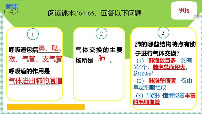 8.2 人体细胞获得氧气的过程 PPT   BSD第4页