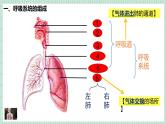 北师大版初中生物 七年级下册 8.2 人体细胞获得氧气的过程（PPT+教案）