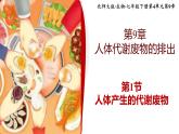 北师大版初中生物 七年级下册 9.1人体产生的代谢废物（PPT+教案）