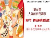 北师大版初中生物 七年级下册 10.1.1神经系统与神经调节（PPT+教案）