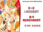 北师大版初中生物 七年级下册 10.1.2神经系统与神经调节（PPT+教案）
