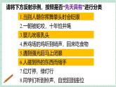 北师大版初中生物 七年级下册 10.1.2神经系统与神经调节（PPT+教案）