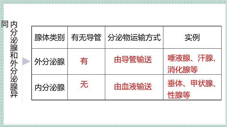 10.3 激素调节  PPT  BSD第7页