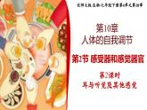 北师大版初中生物 七年级下册 10.2.2感受器和感觉器官（PPT+教案）