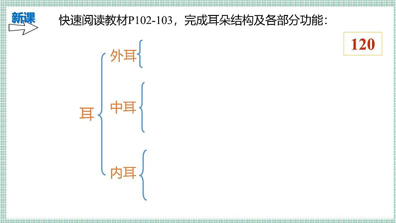 10.2.2感受器和感觉器官  PPT  BSD第4页