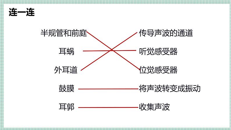 10.2.2感受器和感觉器官  PPT  BSD第7页