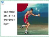北师大版初中生物 七年级下册 11.1人体的骨骼（PPT+教案）