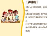 北师大版初中生物 七年级下册 11.2人体的骨骼肌（PPT+教案）