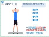 北师大版初中生物 七年级下册 11.3运动的形成（PPT+教案）