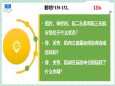 北师大版初中生物 七年级下册 11.3运动的形成（PPT+教案）
