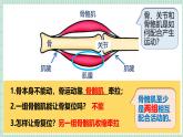 北师大版初中生物 七年级下册 11.3运动的形成（PPT+教案）