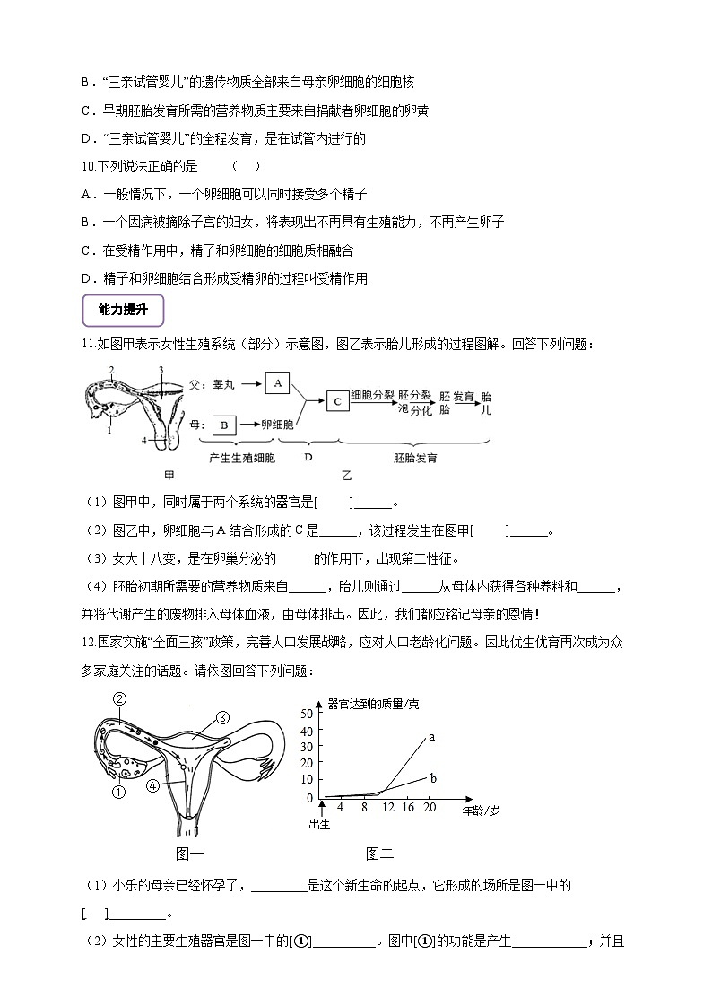 【大单元教学】人教版（新教材）生物七下 4.1.1人的生殖 分层作业（含答案）第3页