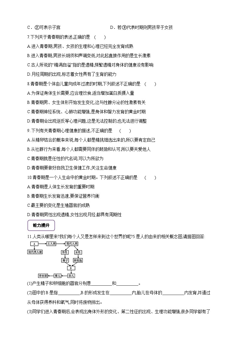 【大单元教学】人教版（新教材）生物七下 4.1.2青春期 分层作业（含答案）第2页