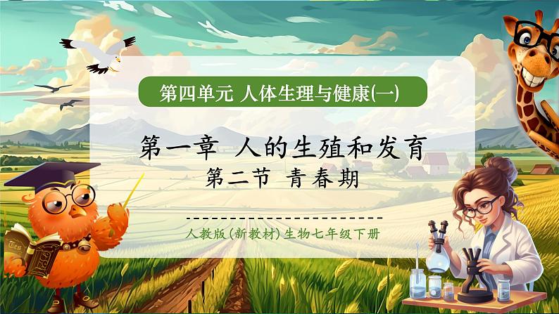 【大单元教学】人教版（新教材）生物七下 4.1.2青春期 课件 课件(共24张PPT)+视频素材第1页