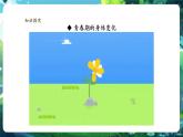 【新教材核心素養(yǎng)】人教版生物七年級下冊4.1.2青春期（課件+同步教案+導(dǎo)學案+分層作業(yè)）