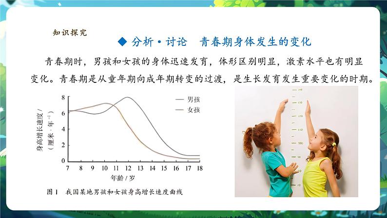 【大单元教学】人教版（新教材）生物七下 4.1.2青春期 课件 课件(共24张PPT)+视频素材第5页