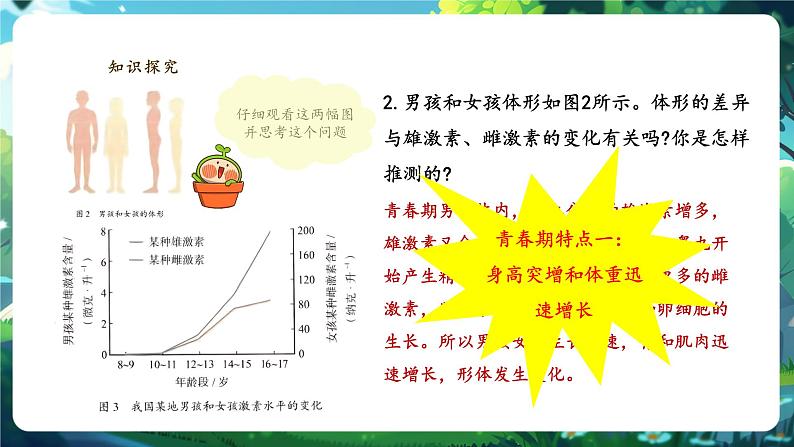 【大单元教学】人教版（新教材）生物七下 4.1.2青春期 课件 课件(共24张PPT)+视频素材第7页