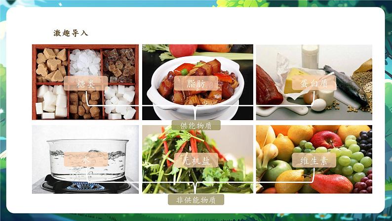 【大单元教学】人教版（新教材）生物七下 4.2.1食物中的营养物质 课件(共26张PPT)+视频素材第4页