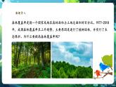 【新教材核心素養(yǎng)】人教版生物七年級下冊3.2.4植物在自然界的作用（課件+同步教案+導(dǎo)學(xué)案+分層作業(yè)）