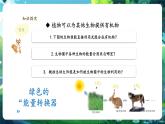 【新教材核心素養(yǎng)】人教版生物七年級下冊3.2.4植物在自然界的作用（課件+同步教案+導(dǎo)學(xué)案+分層作業(yè)）