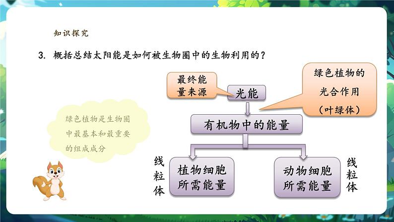 【大单元教学】人教版（新教材）生物七下 3.2.4植物在自然界中的作用 课件(共22张PPT)+视频素材第7页