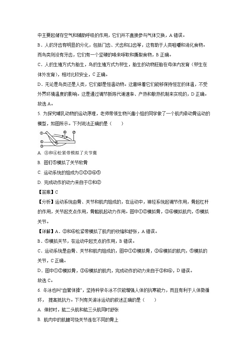 2024-2025学年甘肃省陇南市武都区八年级上学期期末生物试卷（解析版）第3页