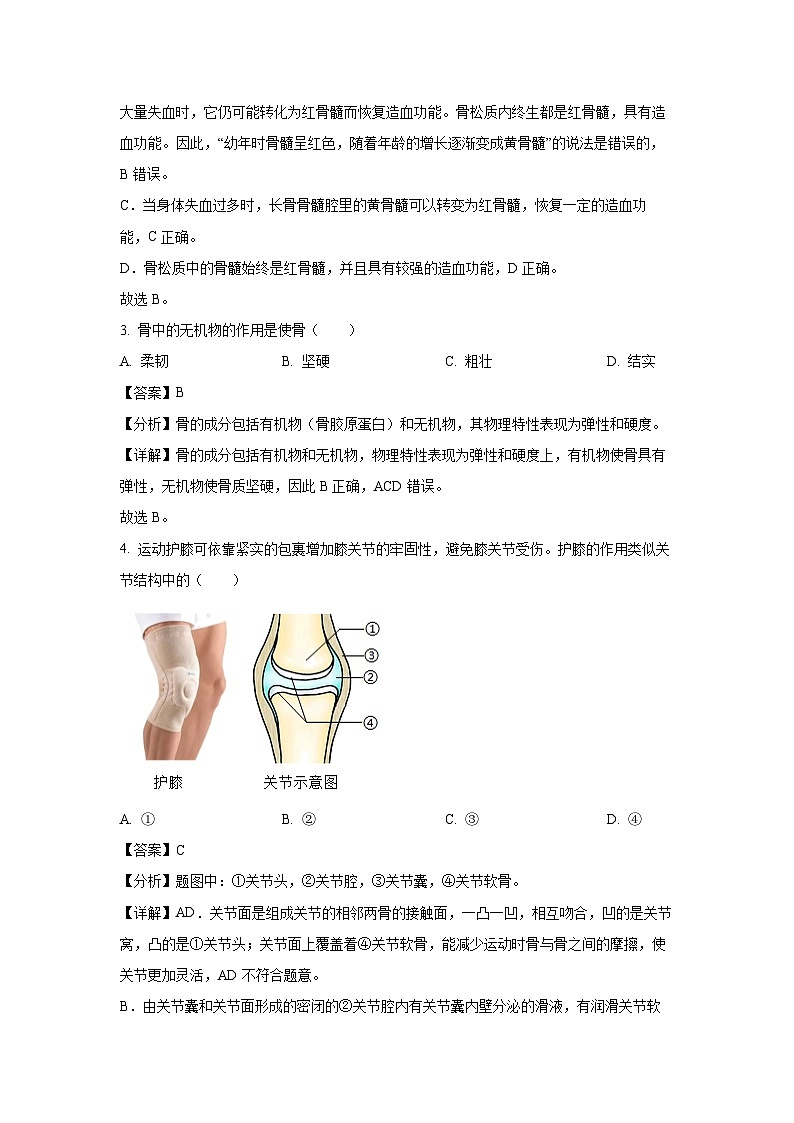 2024-2025学年河南省开封市八年级上学期期末生物试卷（解析版）第2页