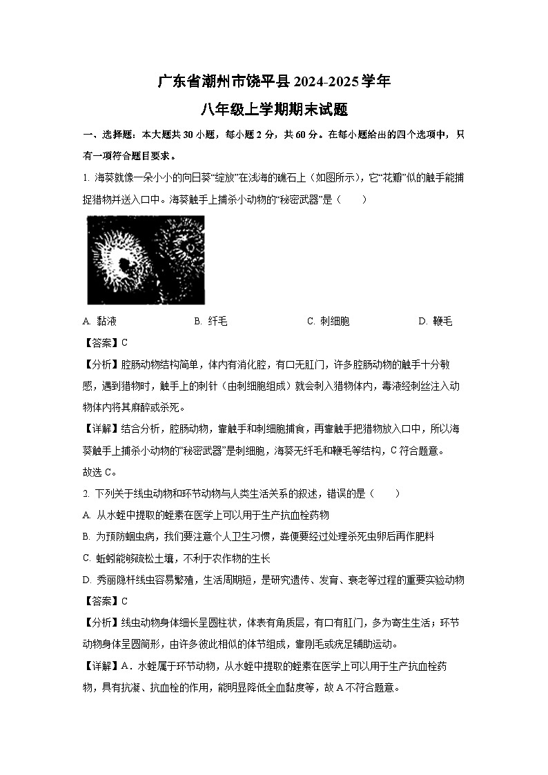 2024-2025学年广东省潮州市饶平县八年级上学期期末生物试卷（解析版）第1页