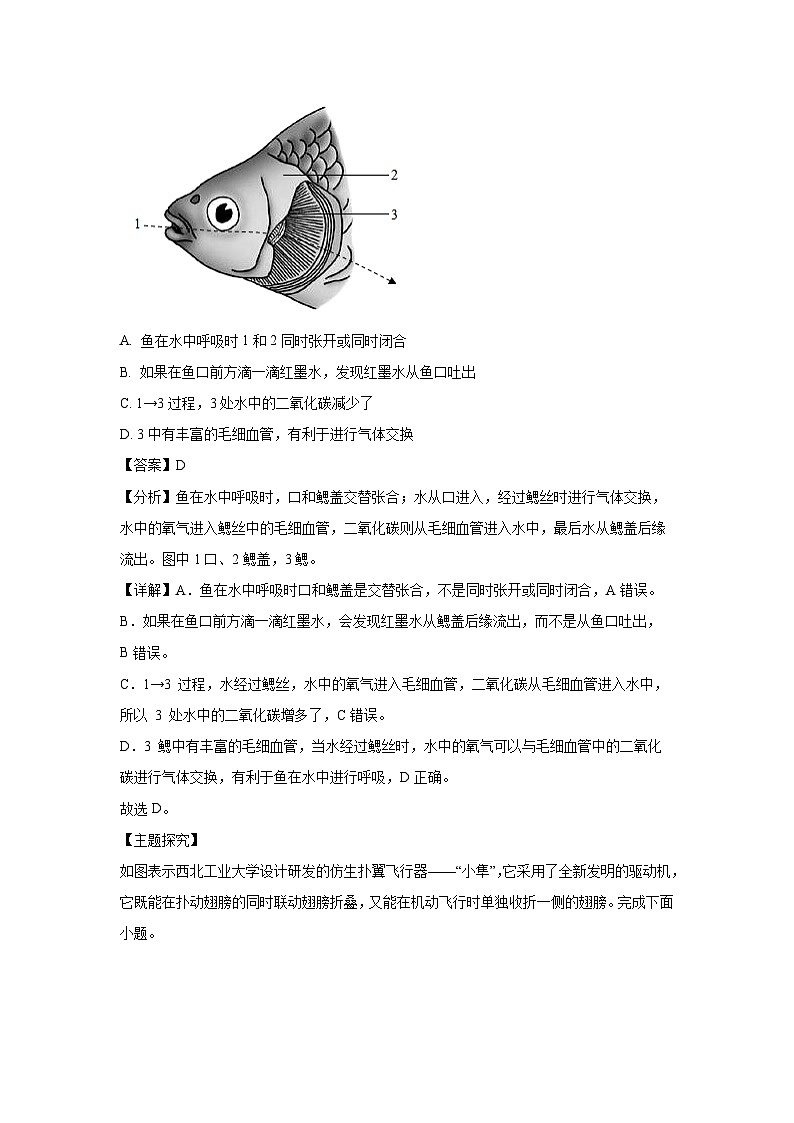 2024-2025学年广东省潮州市饶平县八年级上学期期末生物试卷（解析版）第3页